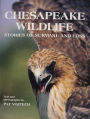 Chesapeake Wildlife: Stories of Survival and Loss