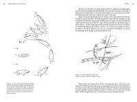 Alternative view 4 of Auxiliary Sail Vessel Operations, 2nd Edition: For the Professional Sailor
