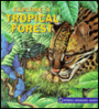 Explore a Tropical Forest