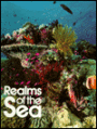 Realms of the Sea