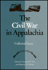 the civil war essays the civil war essays