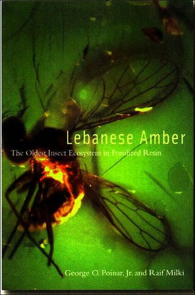 Lebanese Amber: The Oldest Insect Ecosystem in Fossilized Resin