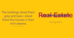 Alternative view 2 of Lee Friedlander: Real Estate