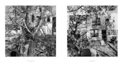 Alternative view 9 of Lee Friedlander: Real Estate