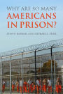 Why Are So Many Americans in Prison?