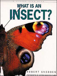 What is an Insect?