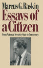 Essays of a Citizen: From National Security State to Democracy: From National Security State to Democracy
