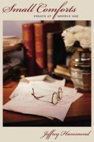 Small Comforts: Essays at Middle Age