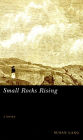Small Rocks Rising