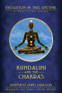 Kundalini & the Chakras: Evolution in this Lifetime