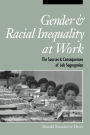 Gender and Racial Inequality at Work: The Sources and Consequences of Job Segregation / Edition 1