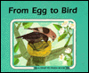 From Egg to Bird