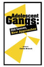 Adolescent Gangs: Old Issues, New Approaches / Edition 1