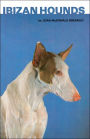 Ibizan Hounds