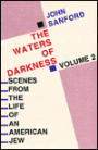 Scenes from the Life of an American Jew: Volume 2: Waters of Darkness