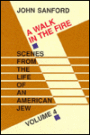 Scenes from the Life of an American Jew: Volume 4: A Walk in the Fire