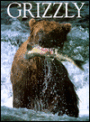 Grizzly