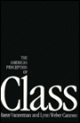 The American Perception of Class
