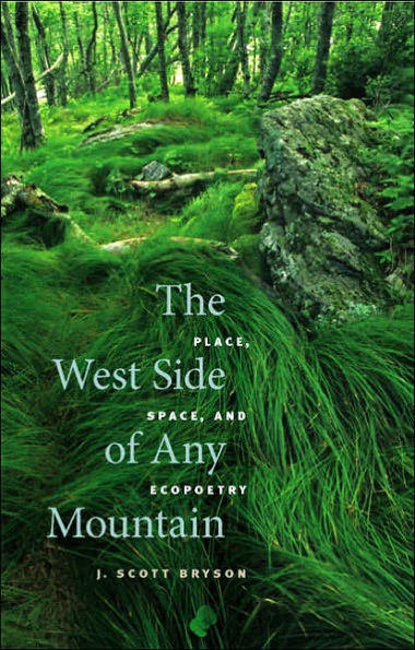 The West Side of Any Mountain: Place, Space, and Ecopoetry