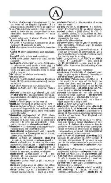 The Merriam-Webster Dictionary