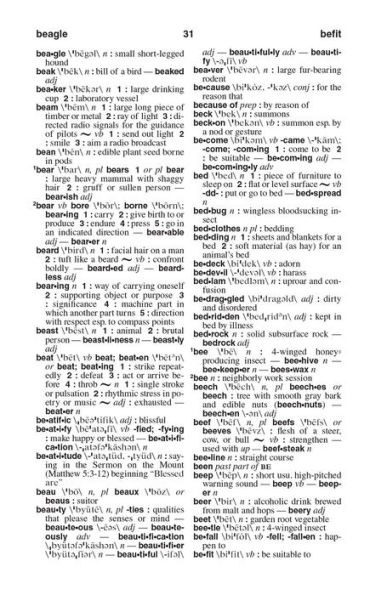 Merriam-Webster's Pocket Dictionary