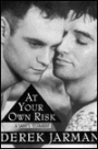 At Your Own Risk: A Saint's Testament