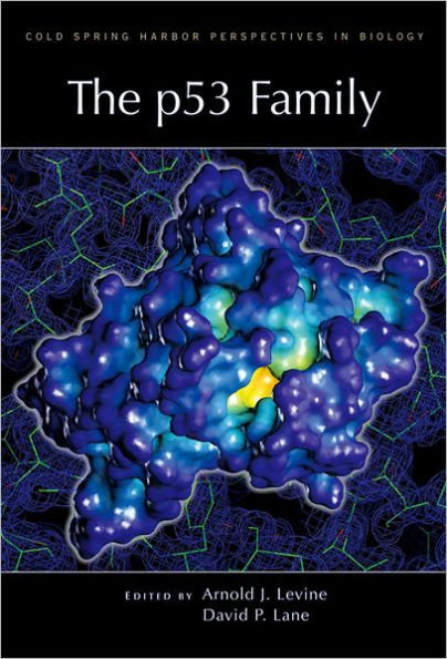 The p53 Family