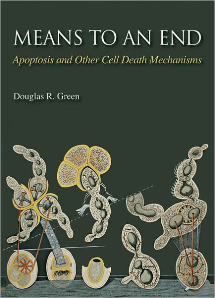 Means to an End: Apoptosis and Other Cell Death Mechanisms