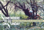 Somewhere to Go on Sunday: A Guide to Natural Treasures in Western New York and Southern Ontario