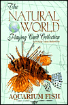 Aquariam Fish of the World