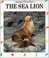 Sea Lion