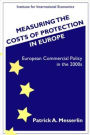 Measuring the Costs of Protection in Europe: European Commercial Policy in the 2000s