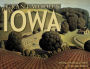 Alternative view 2 of Grant Wood's Iowa