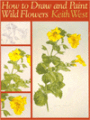 How to Draw and Paint Wild Flowers