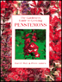 Gardener's Guide to Growing Penstemons