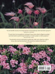 Alternative view 2 of Native Plants of the Northeast: A Guide for Gardening and Conservation