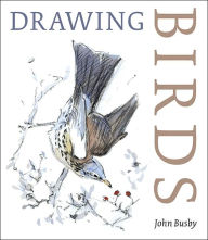 Drawing Birds