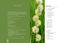 Alternative view 7 of Wildflowers of the Pacific Northwest