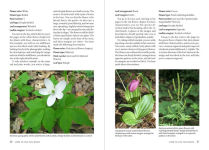 Alternative view 10 of Wildflowers of the Pacific Northwest