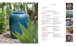 Alternative view 2 of Designing with Succulents