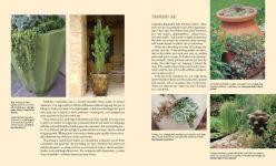Alternative view 3 of Designing with Succulents