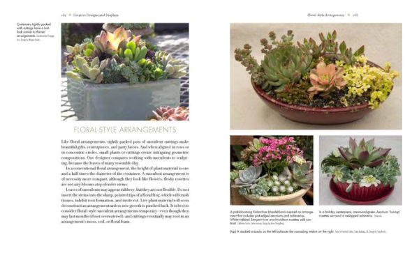 Designing with Succulents