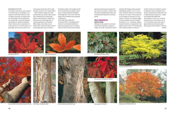 Dirr's Encyclopedia of Trees and Shrubs
