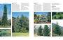 Alternative view 10 of Dirr's Encyclopedia of Trees and Shrubs