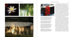 Alternative view 9 of The Wild Garden: Expanded Edition