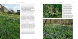 Alternative view 10 of The Wild Garden: Expanded Edition