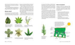 Alternative view 12 of What's Wrong With My Plant? (And How Do I Fix It?): A Visual Guide to Easy Diagnosis and Organic Remedies