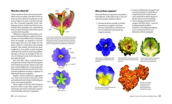 What's Wrong With My Plant? (And How Do I Fix It?): A Visual Guide to Easy Diagnosis and Organic Remedies