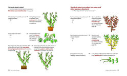 Alternative view 6 of What's Wrong With My Plant? (And How Do I Fix It?): A Visual Guide to Easy Diagnosis and Organic Remedies