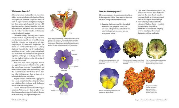 What's Wrong With My Plant? (And How Do I Fix It?): A Visual Guide to Easy Diagnosis and Organic Remedies